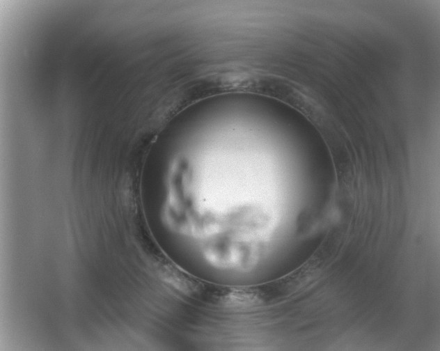 X0000067330270200604071333