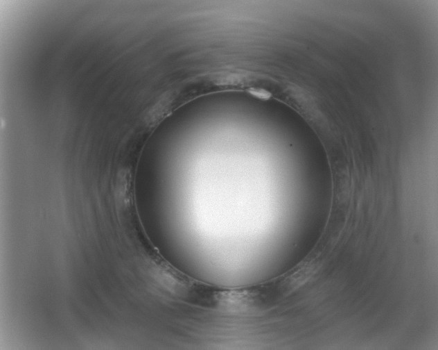 X0000067330273200604071333