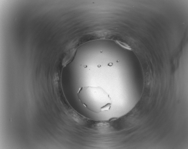 X0000067330279200604071333