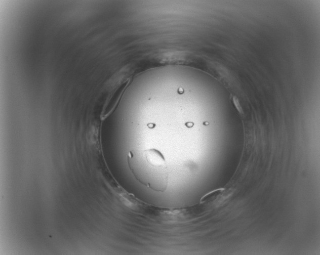 X0000067330281200604071333