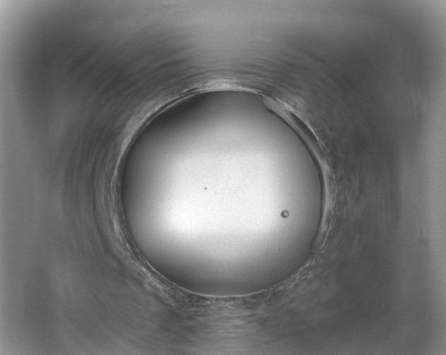 X0000067330289200604071332