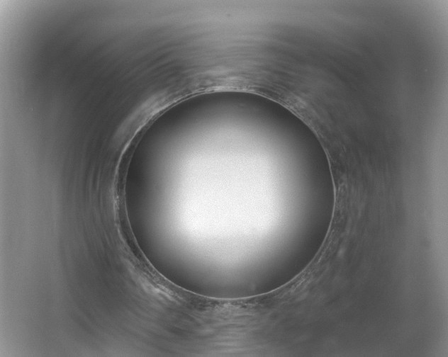 X0000067330290200604071332