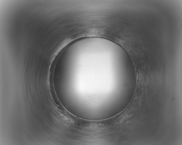 X0000067330292200604071332