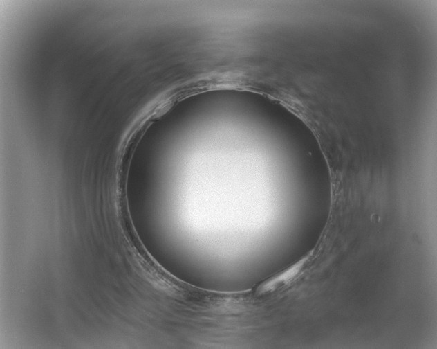 X0000067330293200604071332