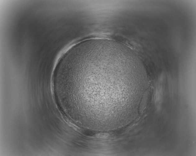 X0000067330294200604071332