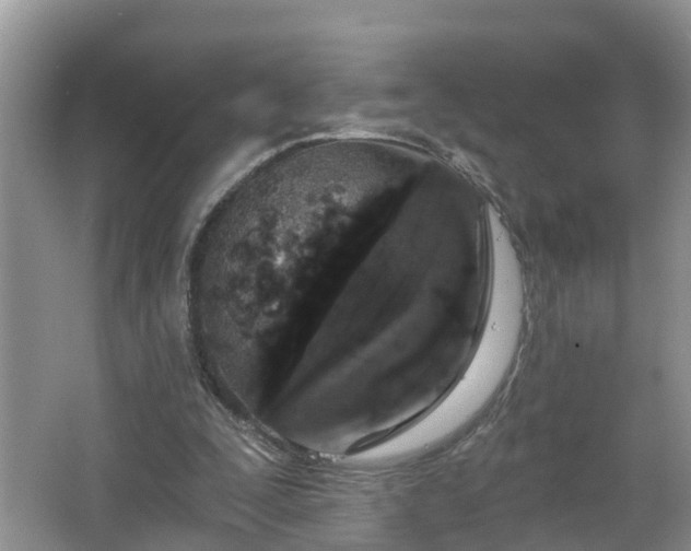 X0000067330295200604071332