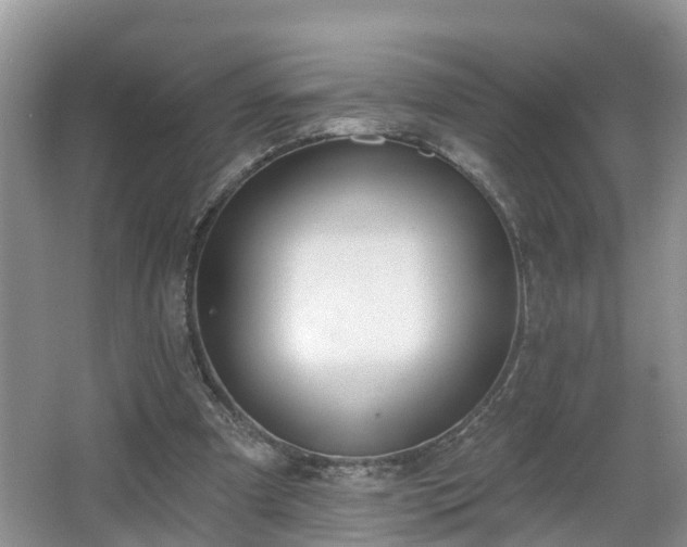 X0000067330297200604071332