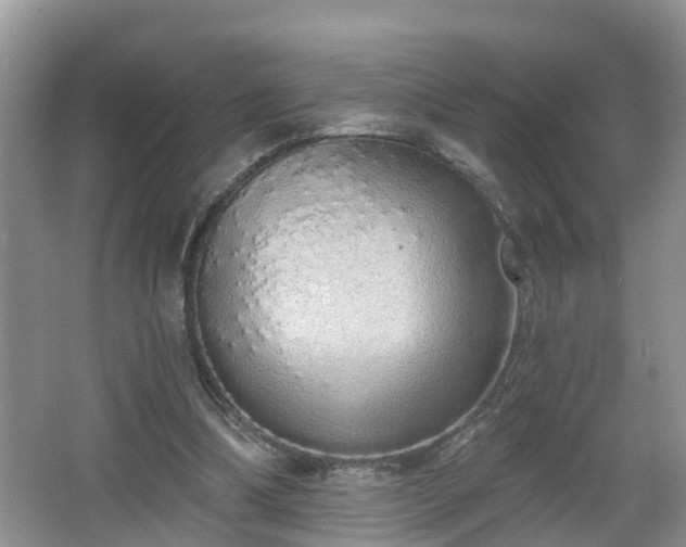 X0000067330298200604071332