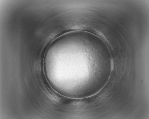 X0000067330299200604071332