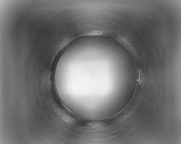 X0000067330300200604071332