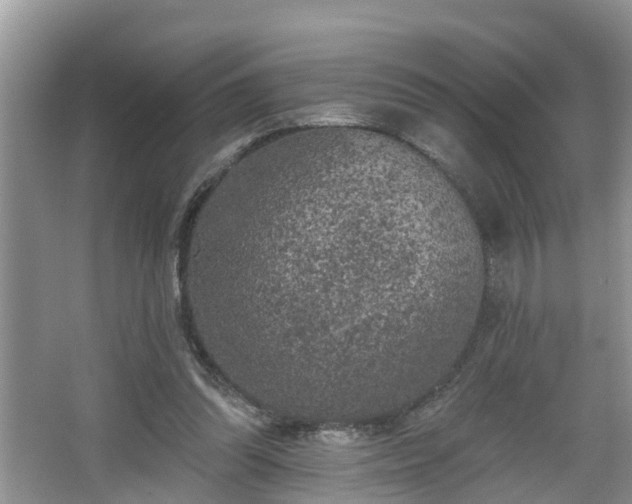 X0000067330302200604071332