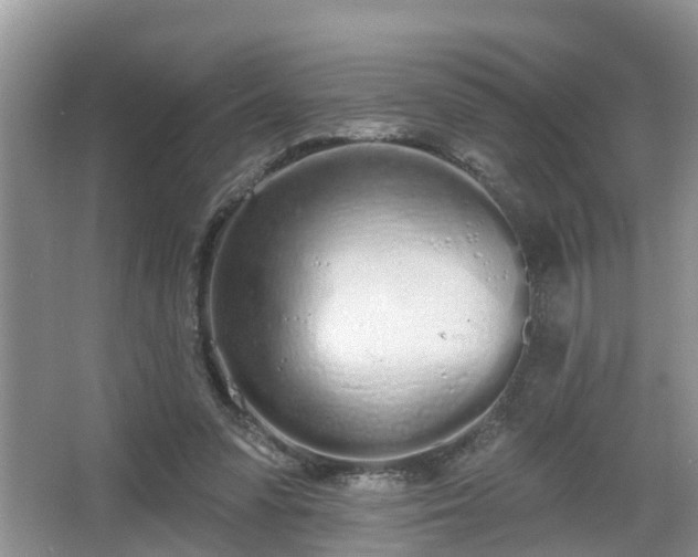 X0000067330303200604071332