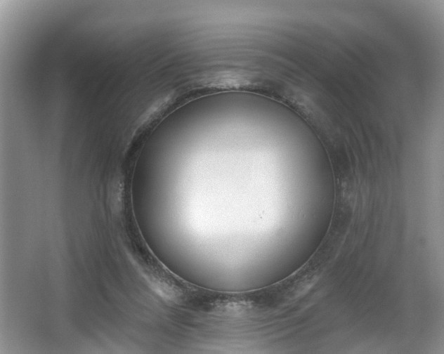 X0000067330304200604071332