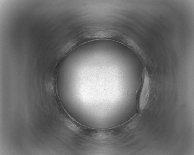 X0000067330305200604071332