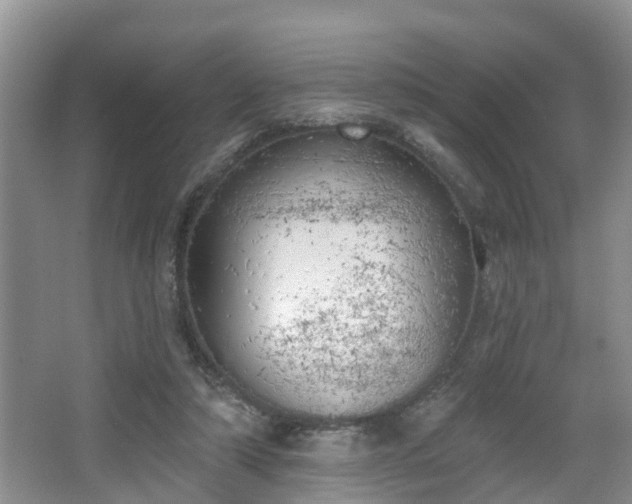 X0000067330306200604071332