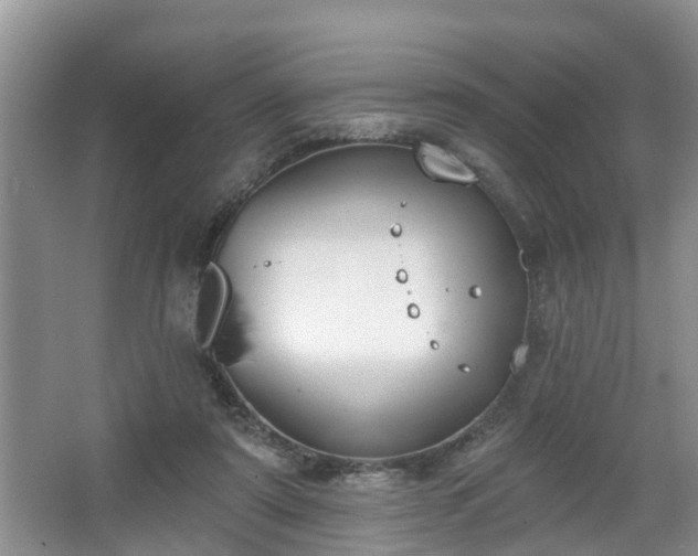 X0000067330307200604071332