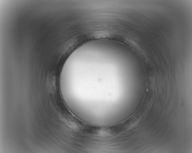 X0000067330308200604071332