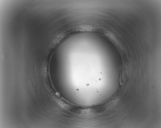 X0000067330309200604071332