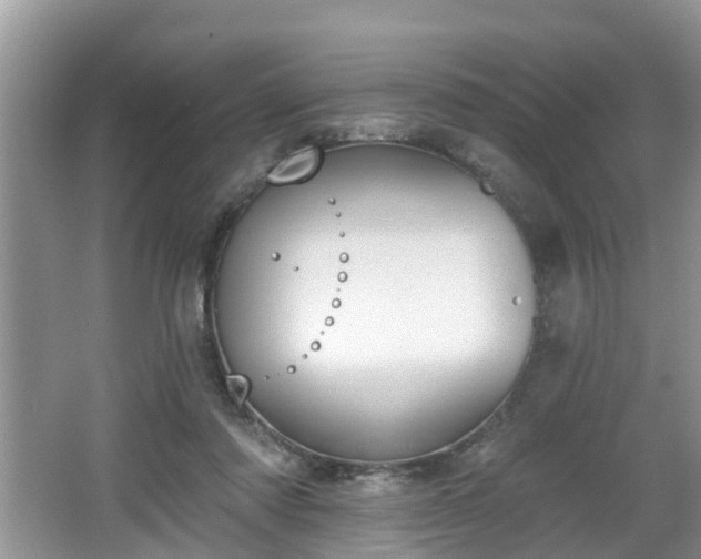 X0000067330310200604071332