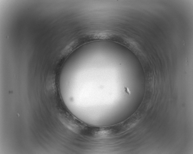 X0000067330312200604071332