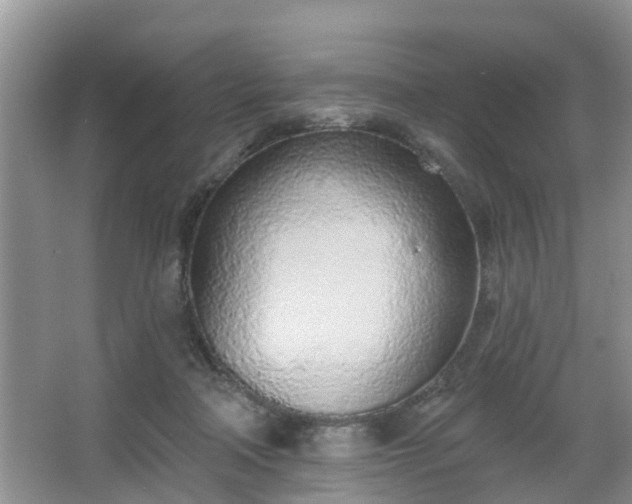 X0000067330314200604071332