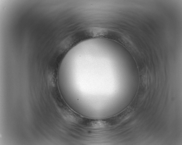 X0000067330316200604071332