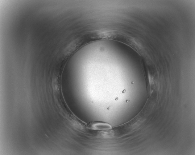 X0000067330317200604071332