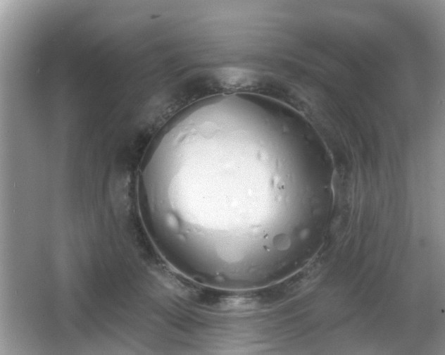 X0000067330319200604071332