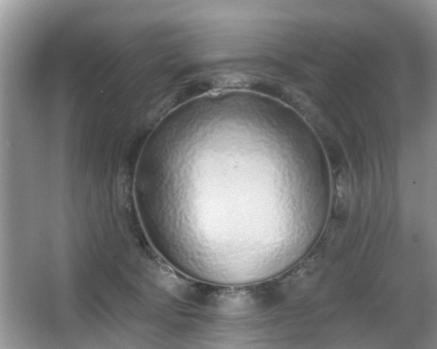 X0000067330322200604071332