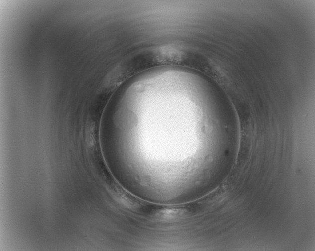 X0000067330323200604071332