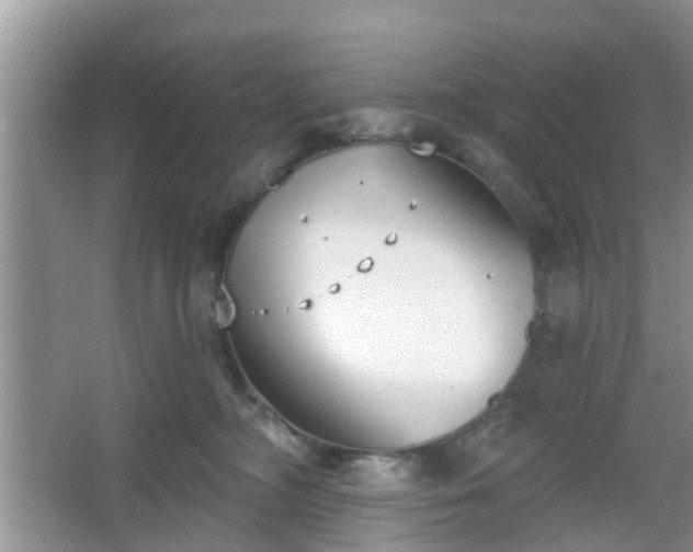 X0000067330326200604071332