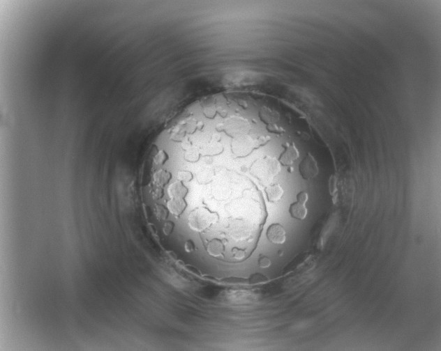 X0000067330327200604071332