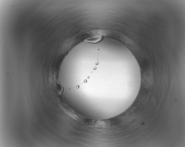 X0000067330330200604071332