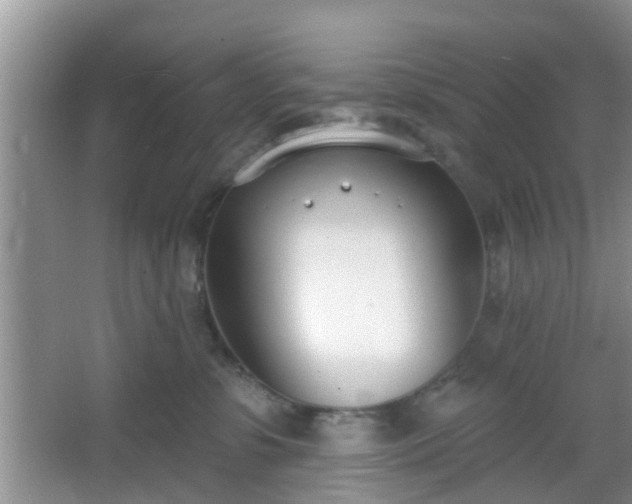 X0000067330331200604071332