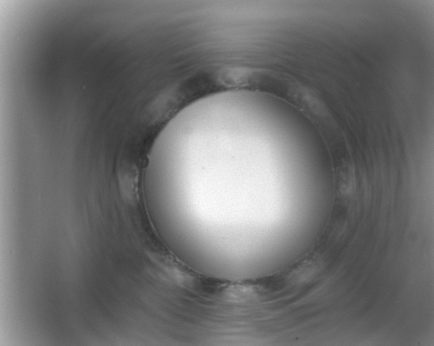 X0000067330332200604071332