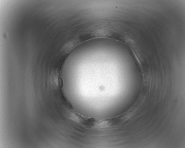 X0000067330334200604071332