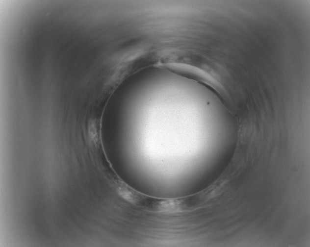 X0000067330335200604071332