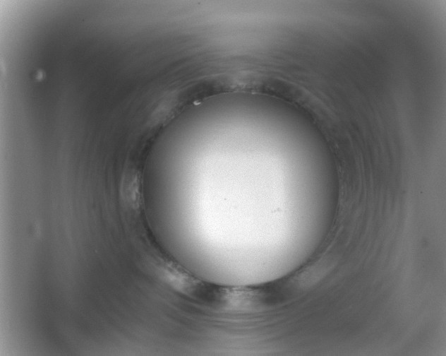 X0000067330336200604071332