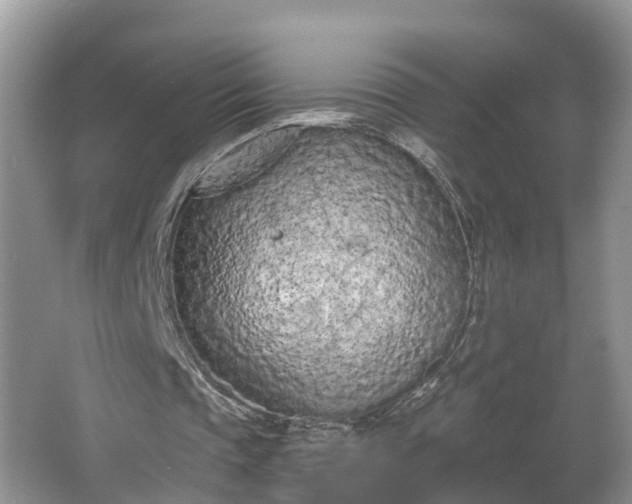 X0000067330337200604071331