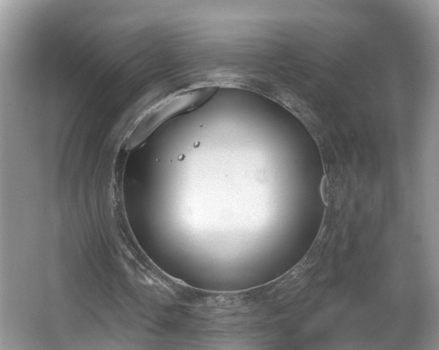 X0000067330338200604071331