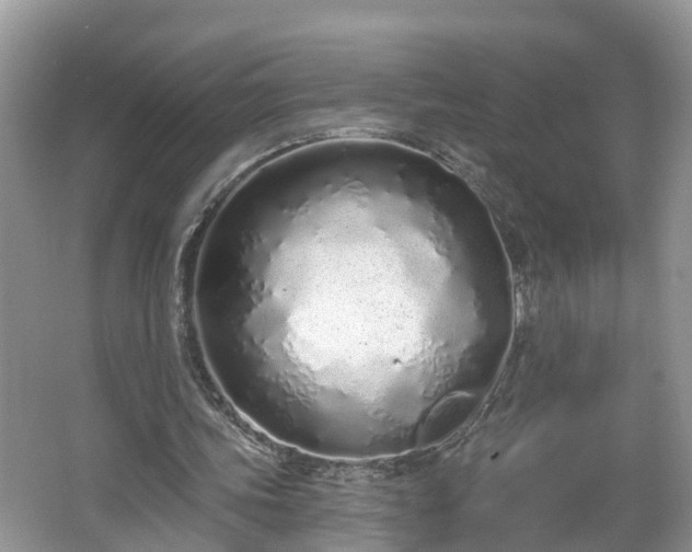 X0000067330339200604071331