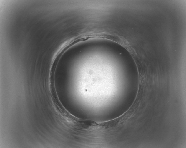 X0000067330340200604071331