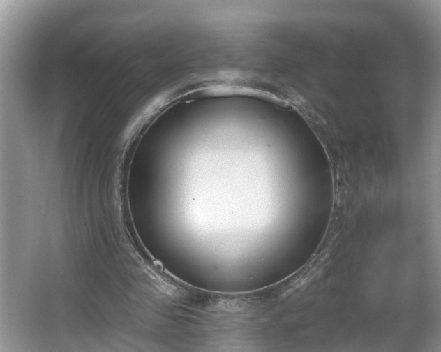 X0000067330341200604071331