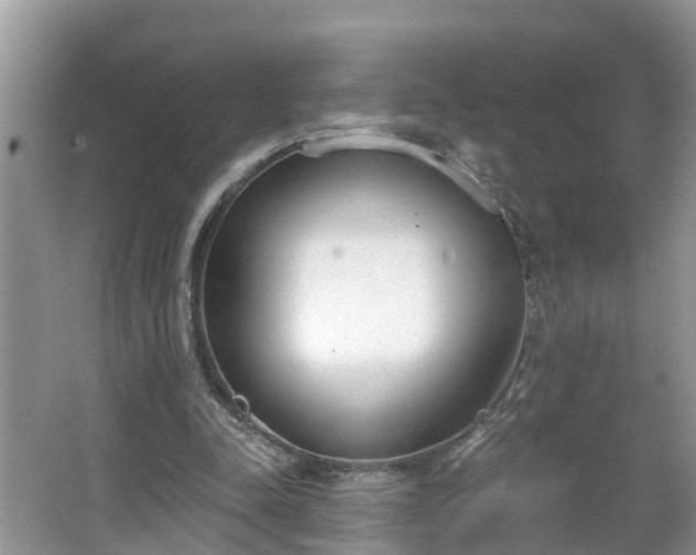 X0000067330342200604071331