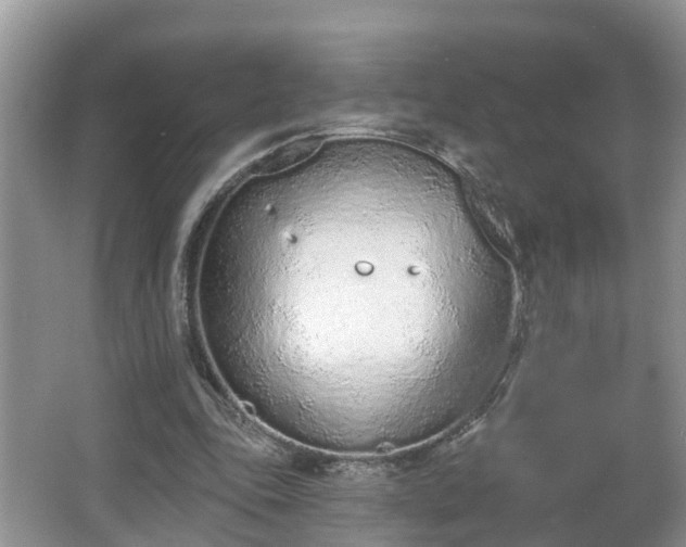 X0000067330343200604071331