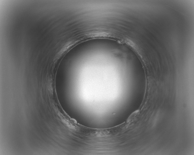 X0000067330345200604071331