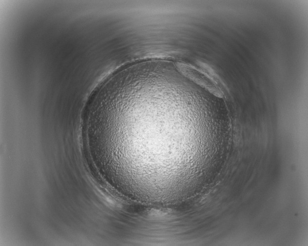 X0000067330346200604071331