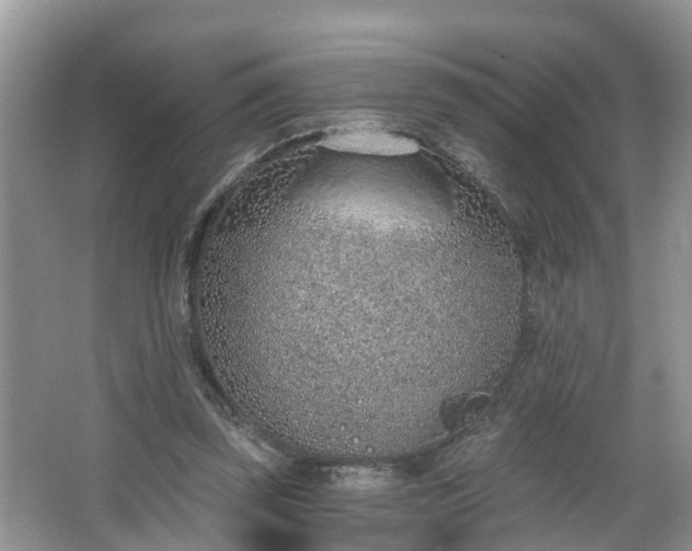 X0000067330347200604071331