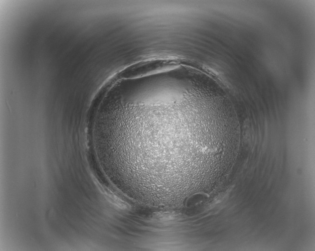 X0000067330351200604071331