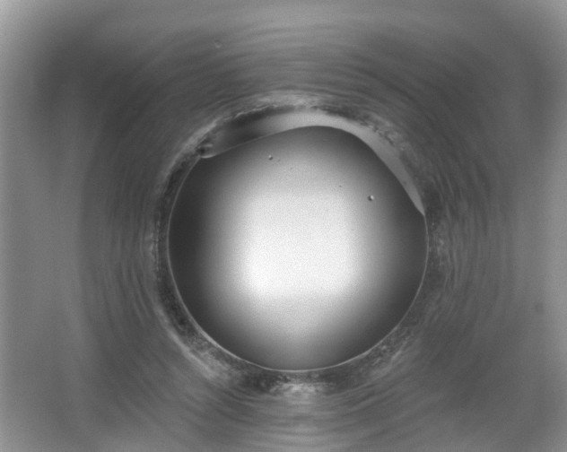 X0000067330352200604071331